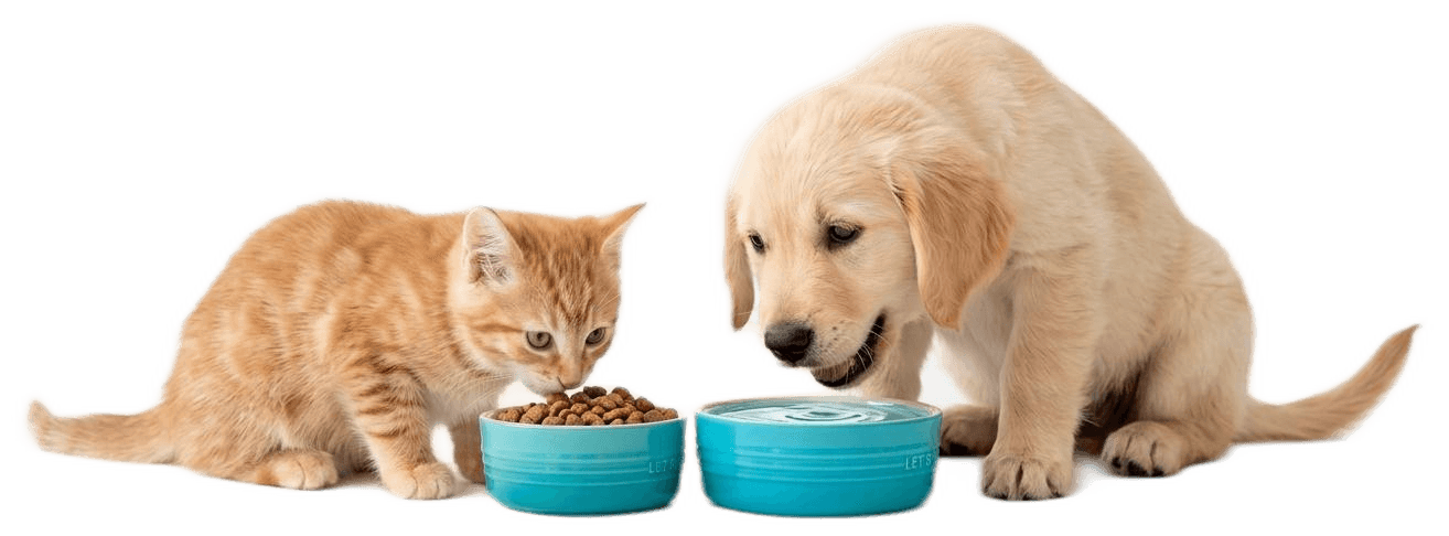 Chien et chat mangeant dans leur bol